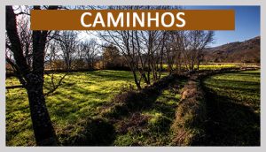 Caminhos