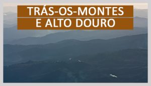 Parque Termal das Pedras Salgadas